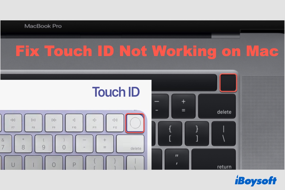 Die nicht funktionierte Touch ID beheben